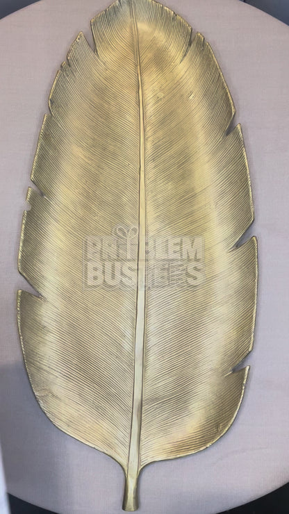 Earwax Remover Tool with Camera